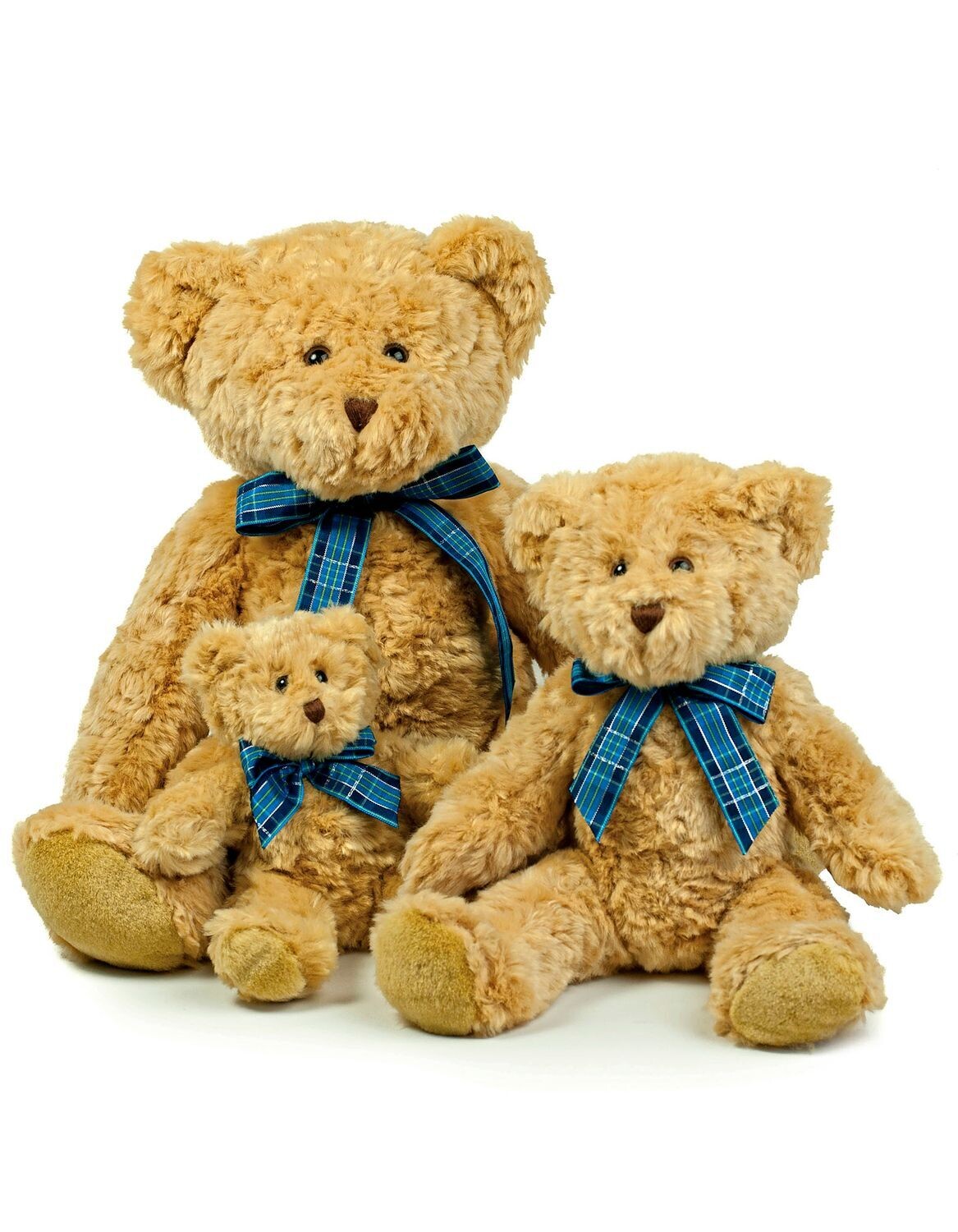 Bracken Bear
