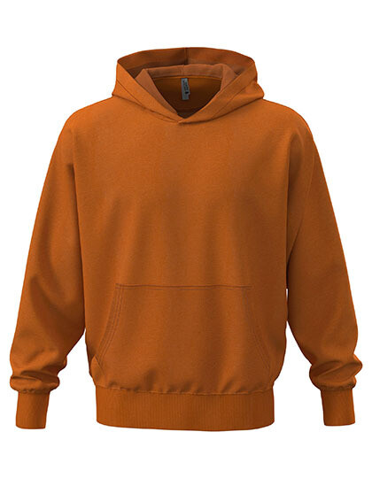Sweat à capuche unisexe poids lourd
