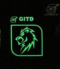 SEF flex film FlexCut GITD, 50cm x 1m