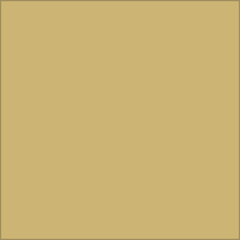 Vinilo flex premium dorado de Stahl, 50 cm x 1 m
