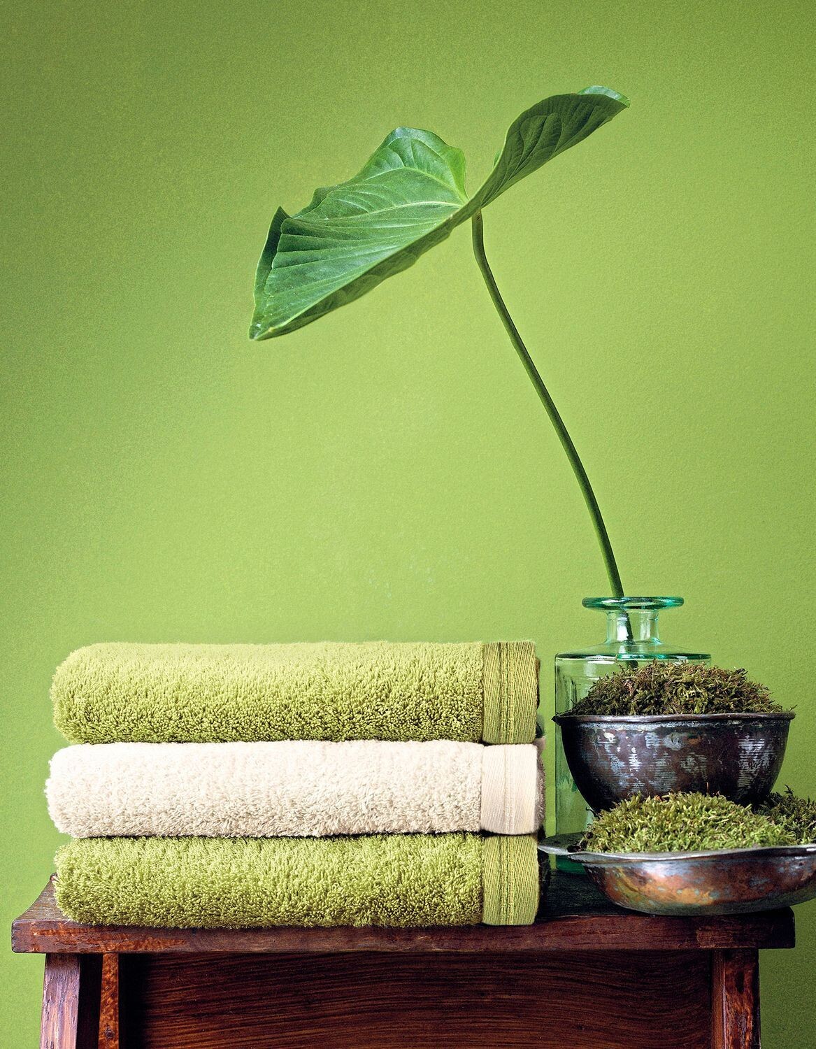 Vegan Life towel