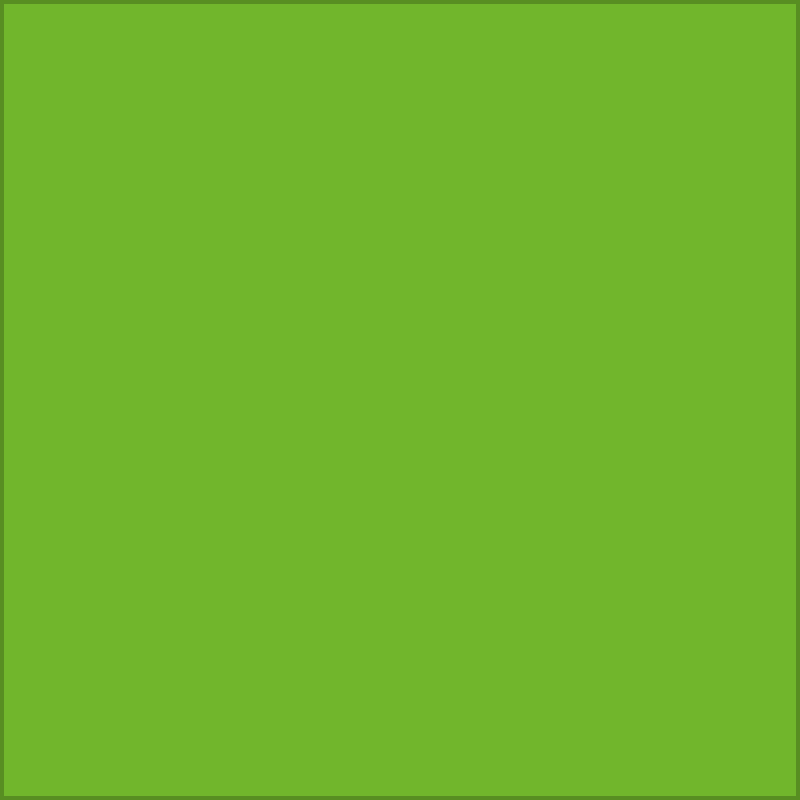 Poli-Flex Turbo Neon, 4941 neon green, 1m x x50cm